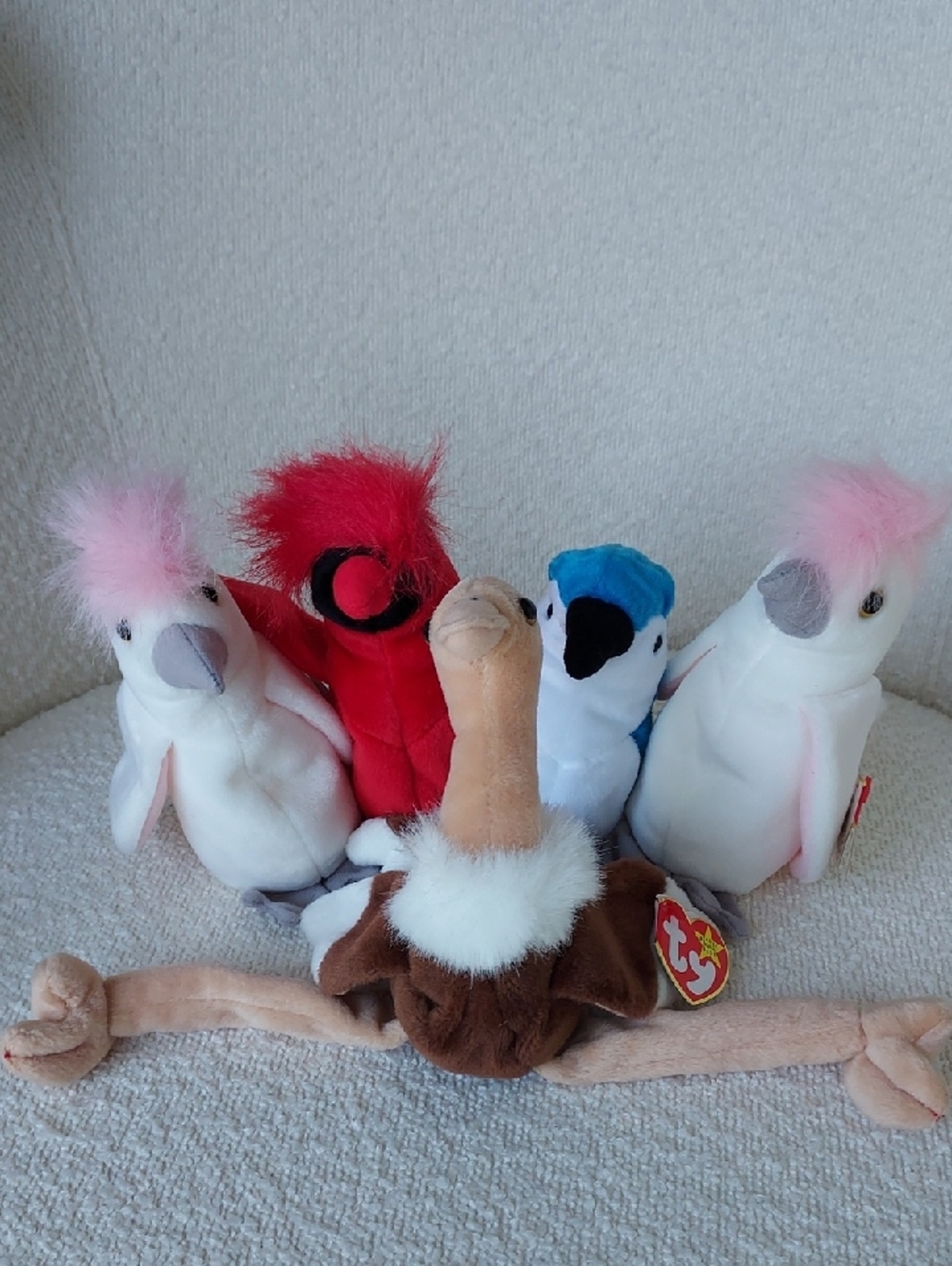Lot Of 11 Ty Beanies Babies + 1 Buddy - Cats & Birds Can Be Friends - Picture 16 of 16